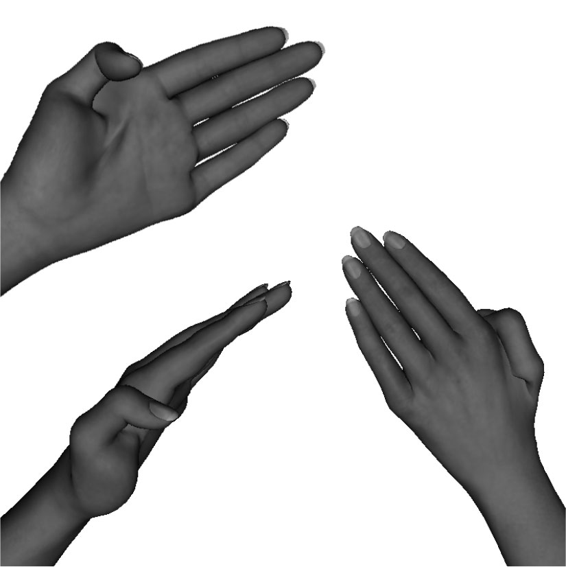 Example of proper hand-sword formation Example of proper hand-sword formation