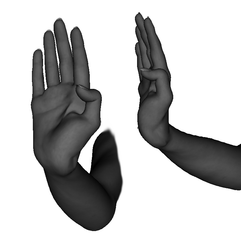 Example of proper heel-palm formation