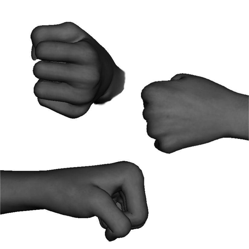 Example of proper vertical punch formation (middle height zone) Example of proper vertical punch formation (middle height zone)