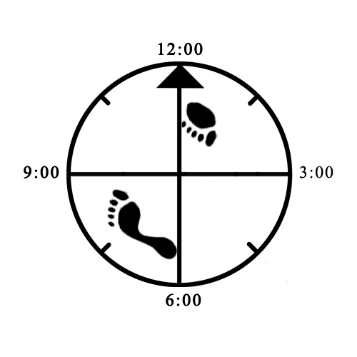 Example of Proper rear 45 degree Cat