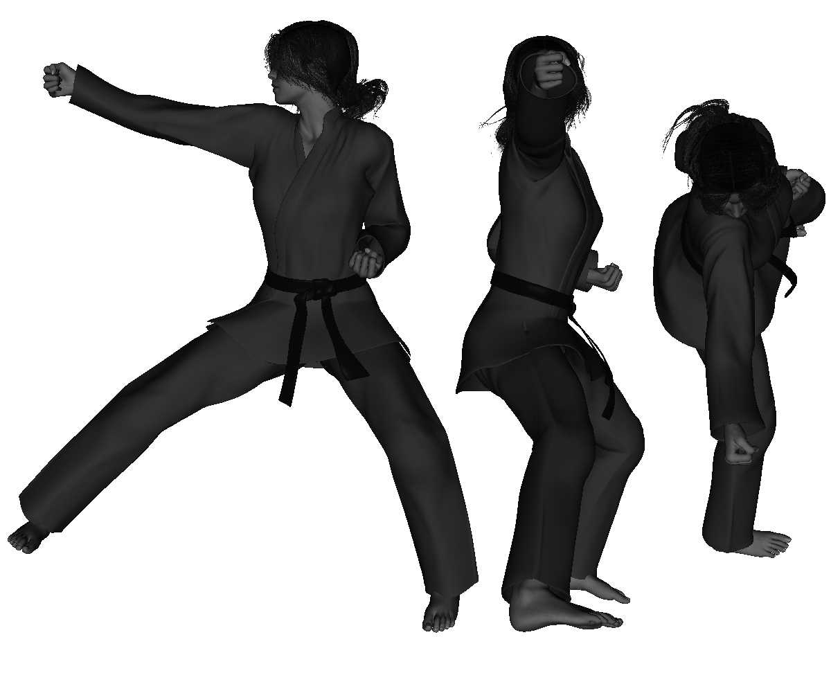 Example of a proper side kick (right) (with punch - from side horse)