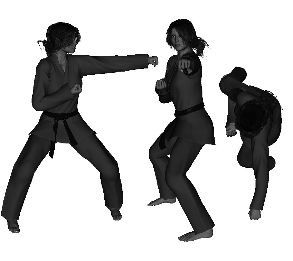 Example of a proper straight punch with front hand (left) (from side horse)